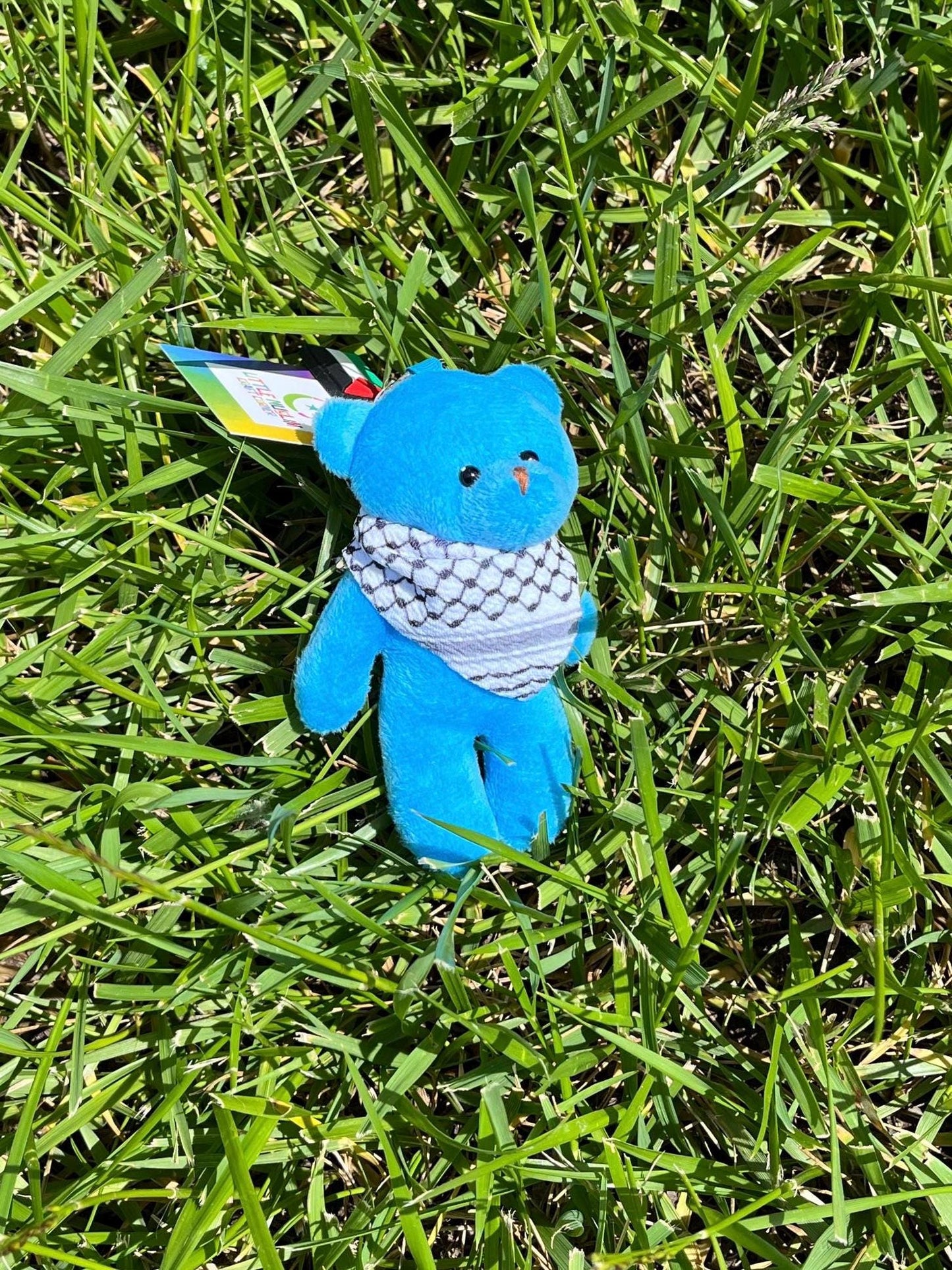 Palistine Plush Bear Kuffiyeh Keychain