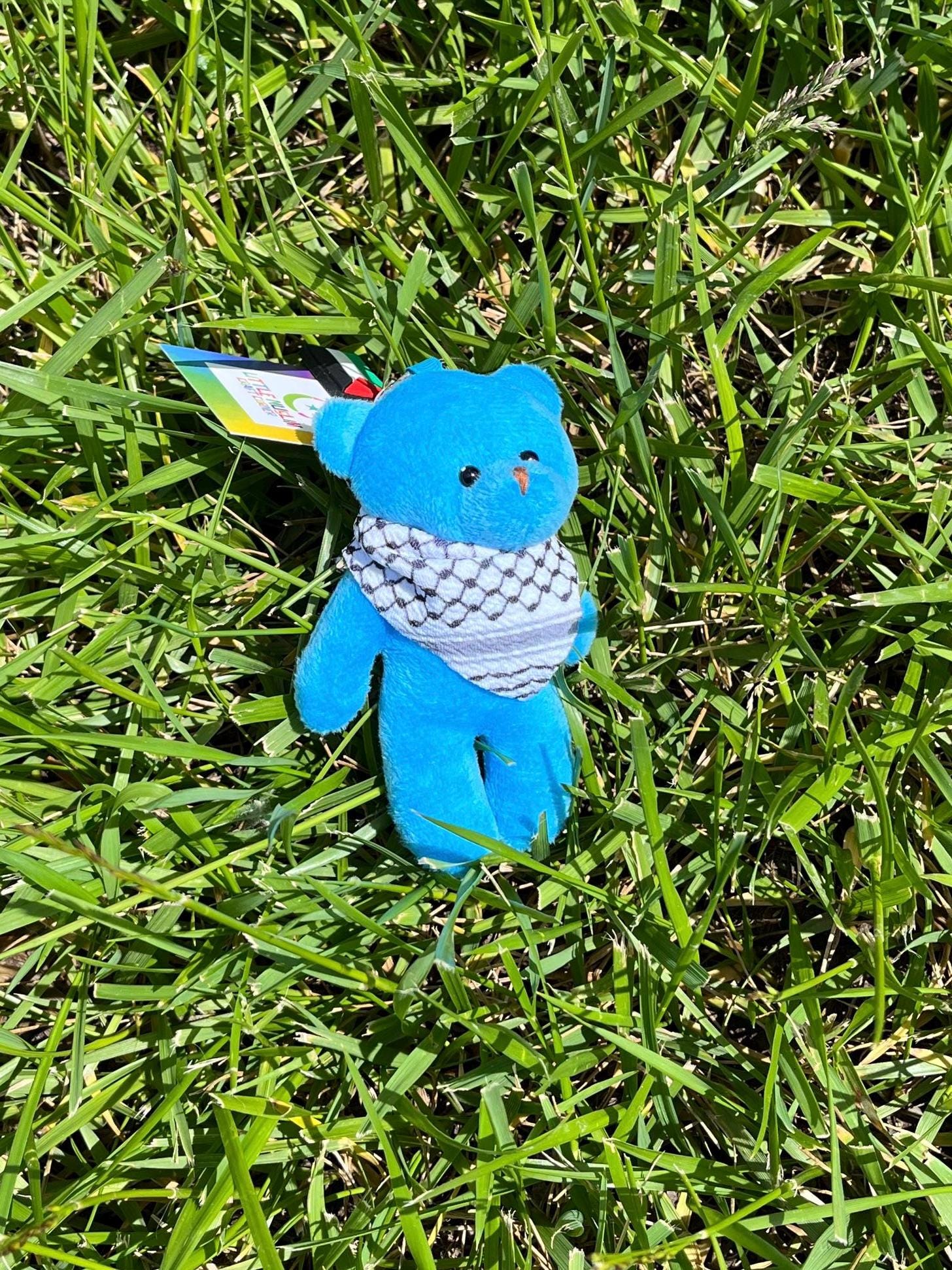 Palistine Plush Bear Kuffiyeh Keychain